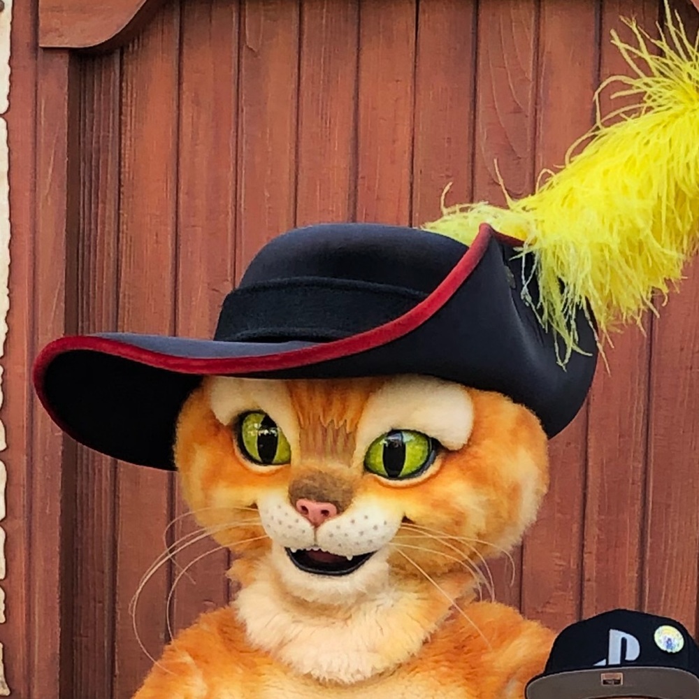 Meet your Posher, Liz